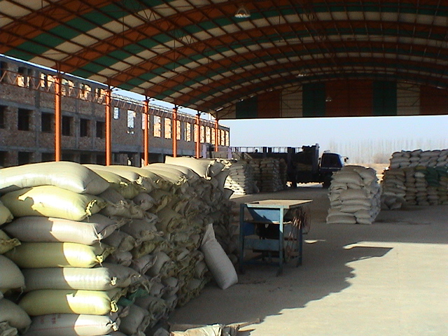 2004年11月29日 公司生产经营活动逐步提升.(组图)